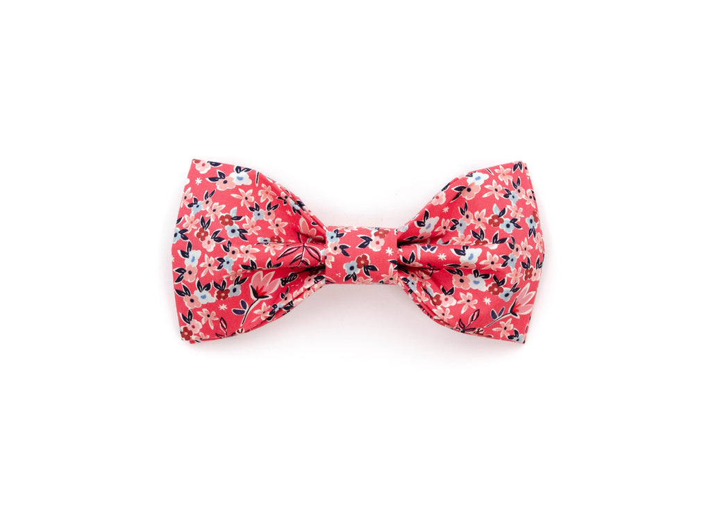 The Posey Bowtie