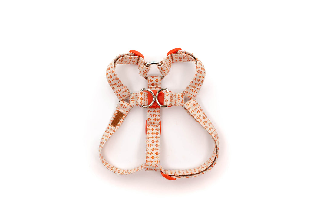 The Celeste Harness