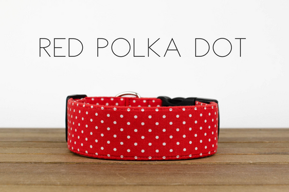 Red Polka Dot