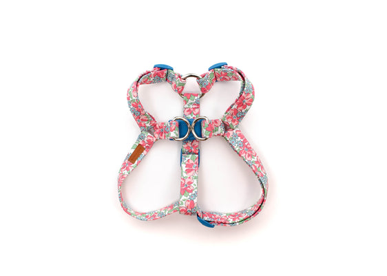 The Dotty Harness