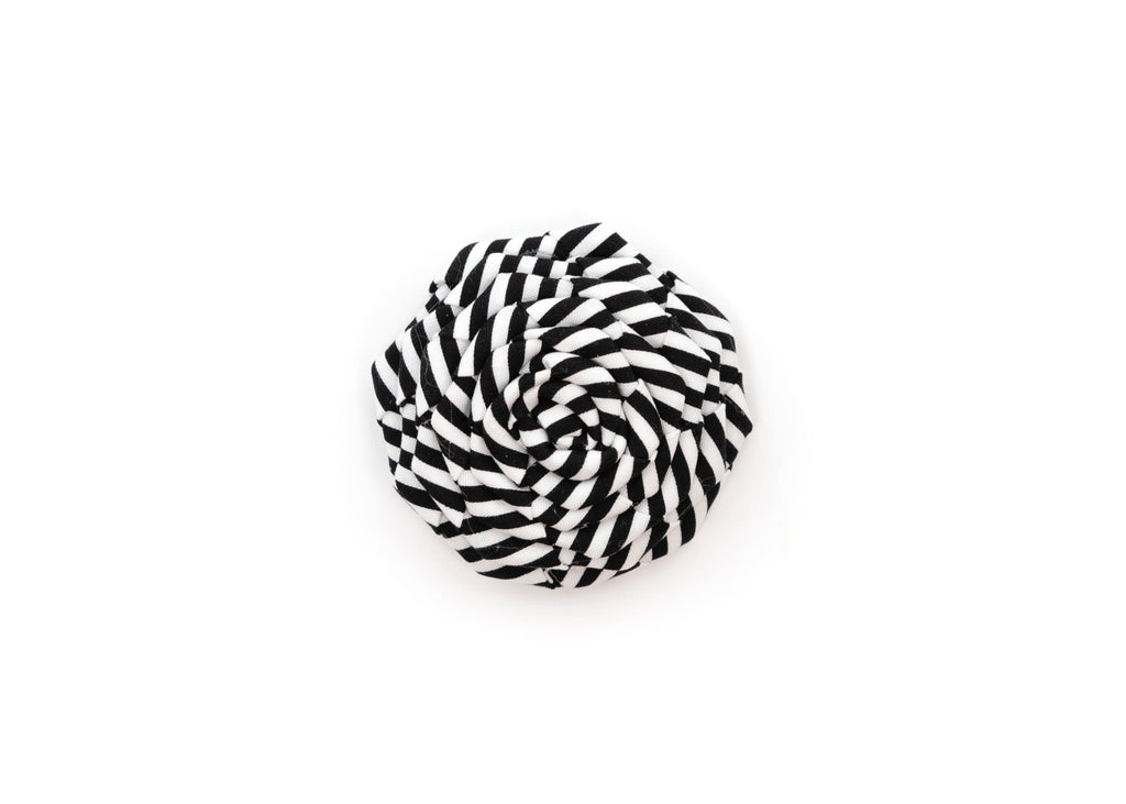 Licorice Stripe Flower