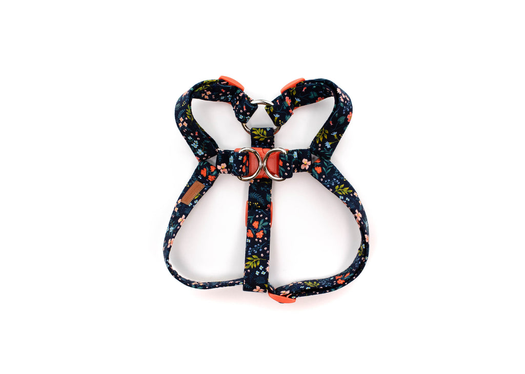 The Addison Harness