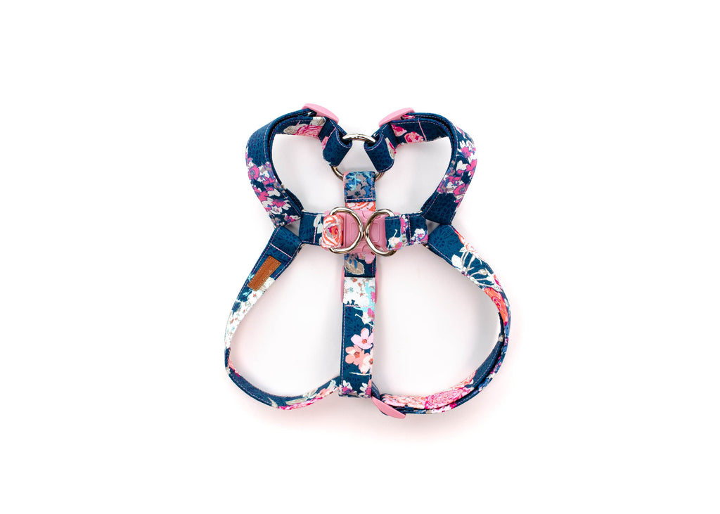 The Britt Harness