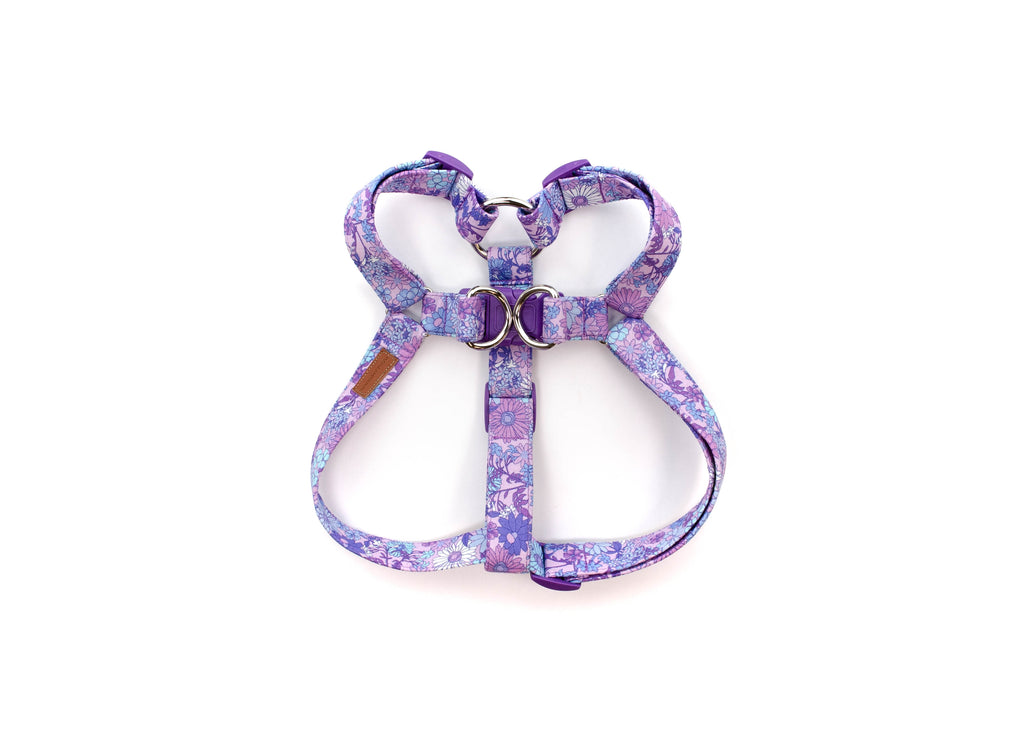 The Elsie Harness