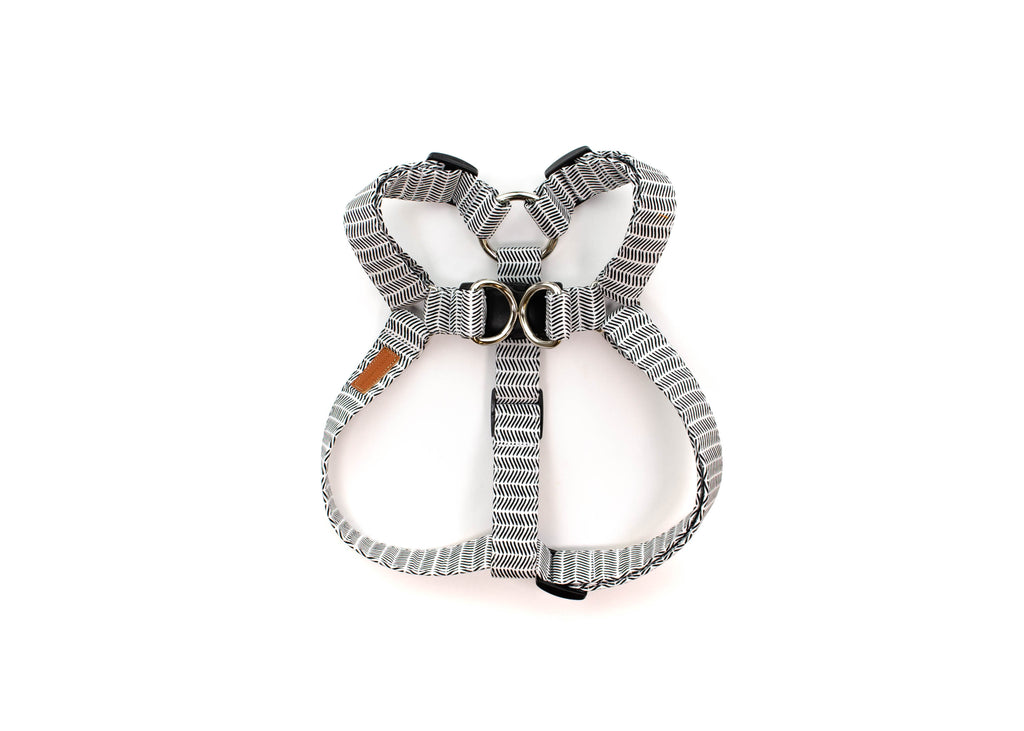 The Ezra Harness