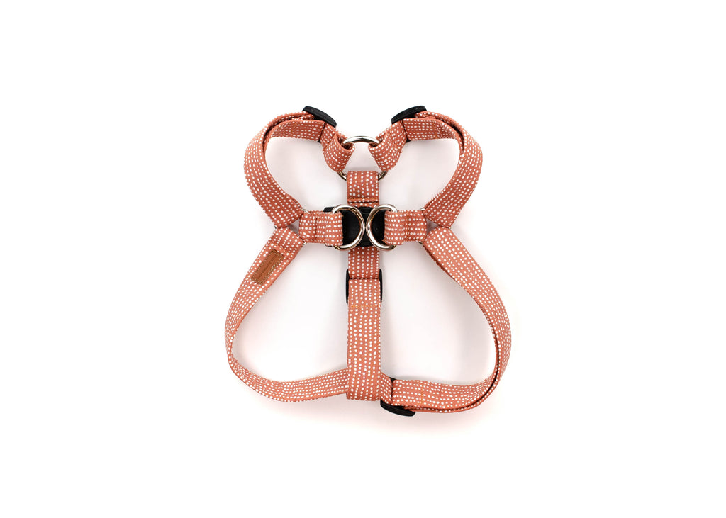 The Maverick Harness