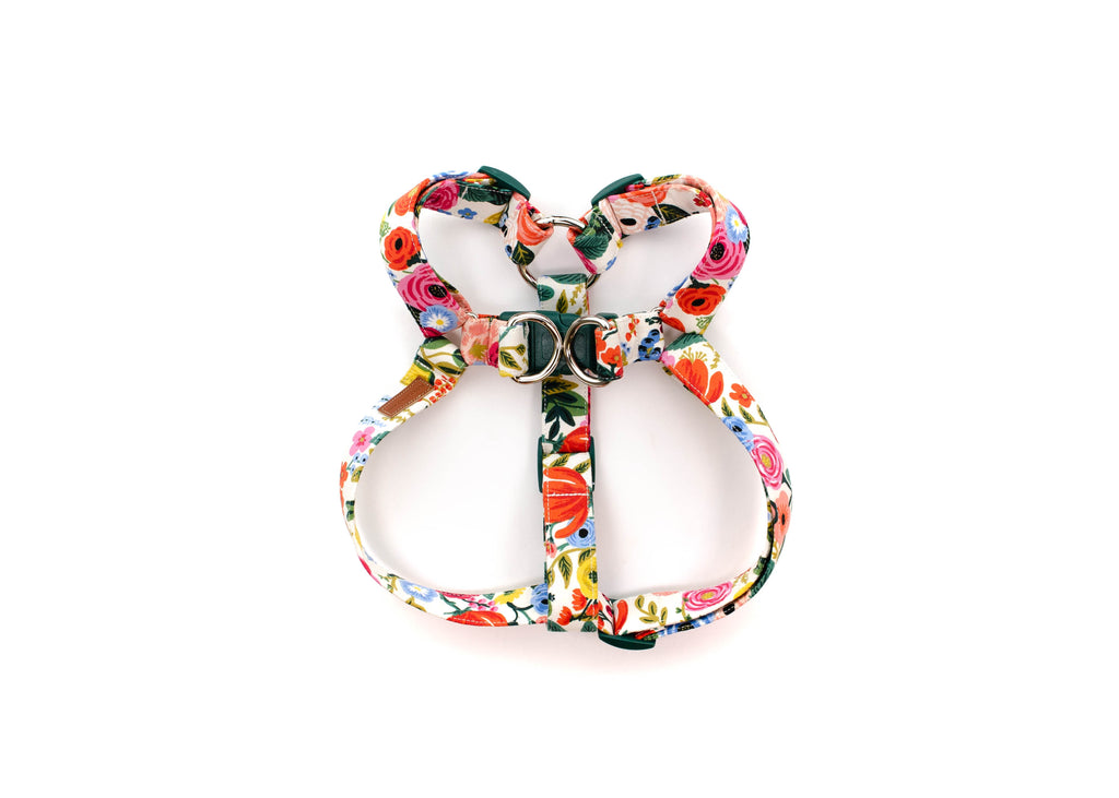The Odelle Harness