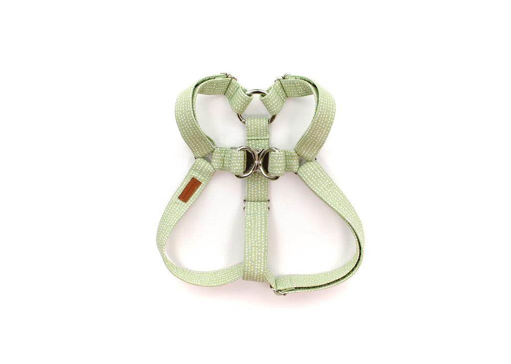 The Reed Harness