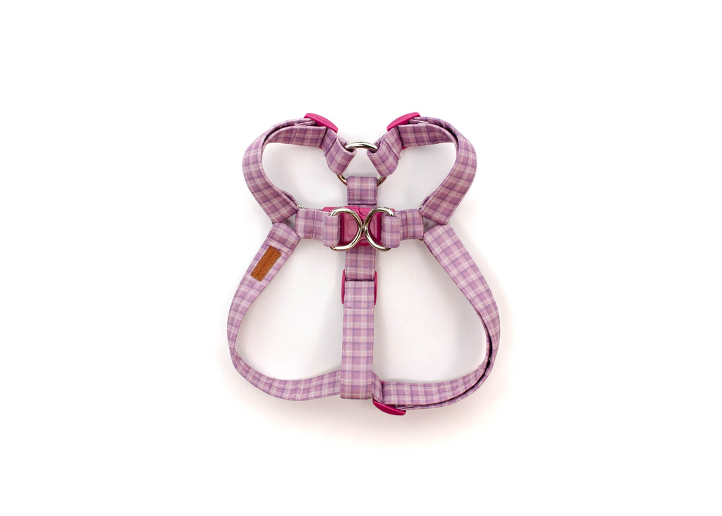 The Irma Harness