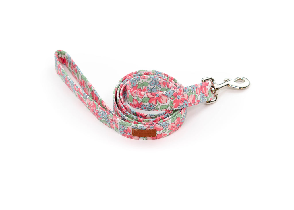 The Dotty Leash