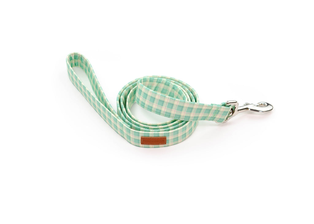 The Burke Leash
