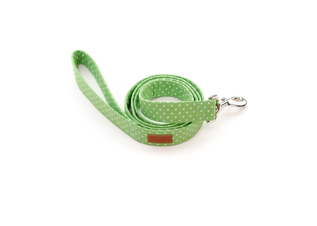Green Polka Dot Leash
