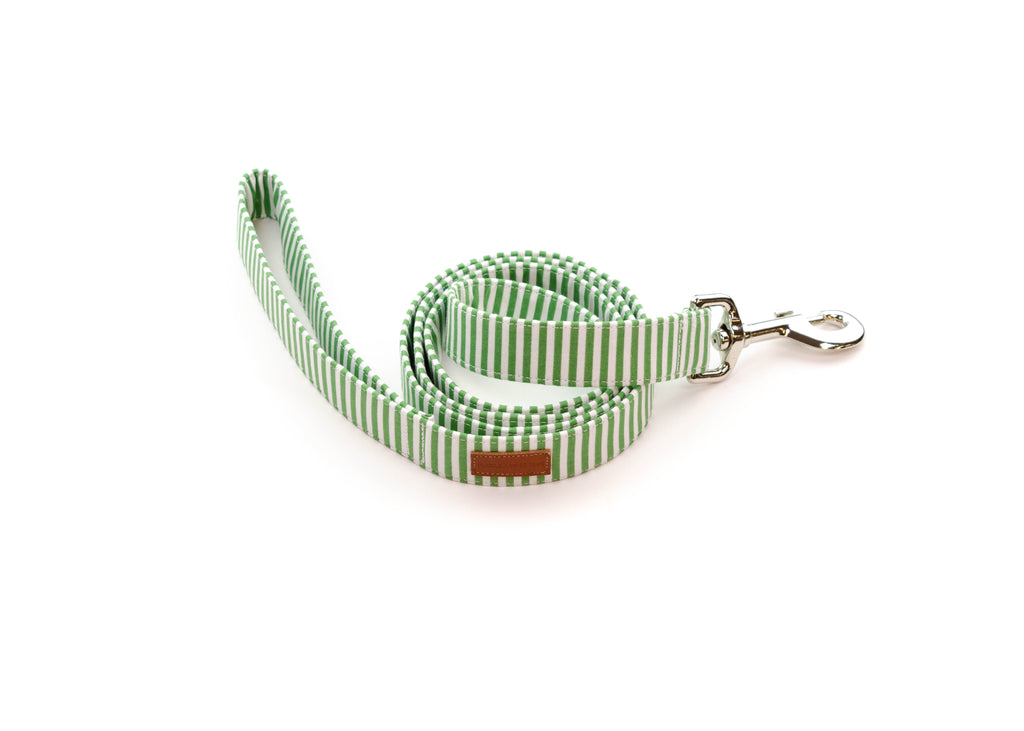Green Stripe Leash