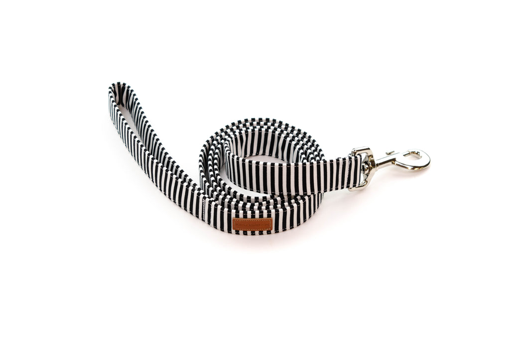 Licorice Stripe Leash