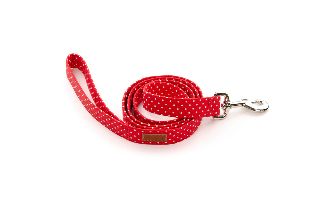 Red Polka Dot Leash