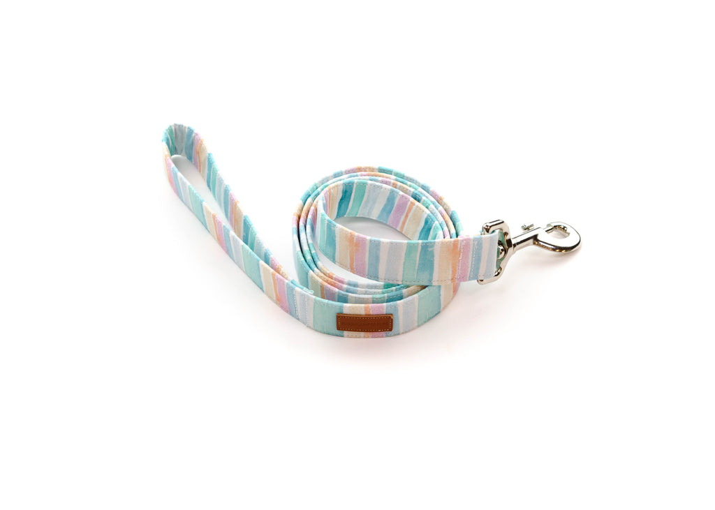 The Amelia Leash