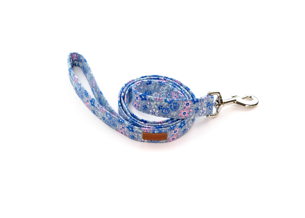 The Darcie Leash