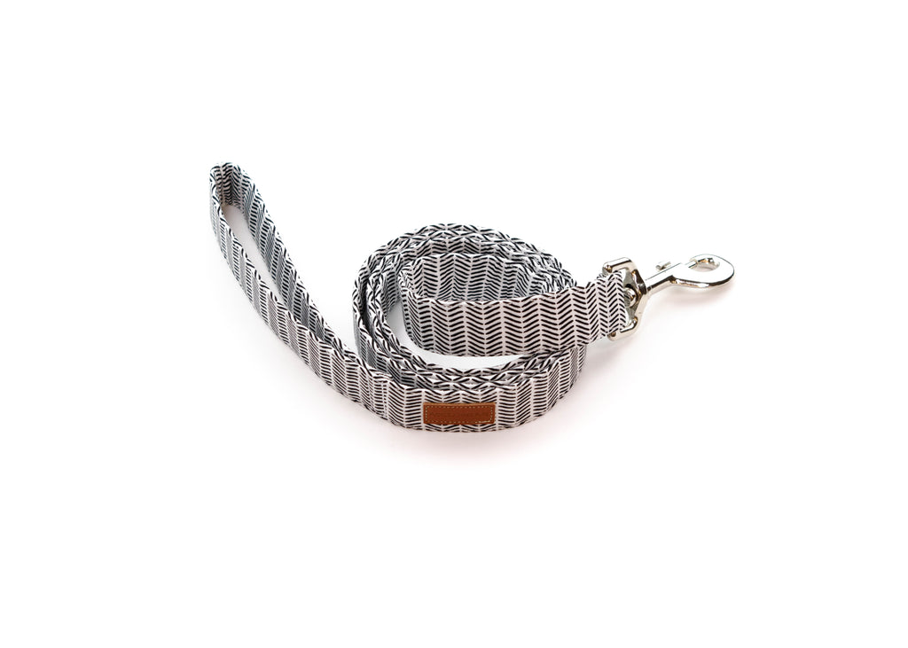 The Ezra Leash