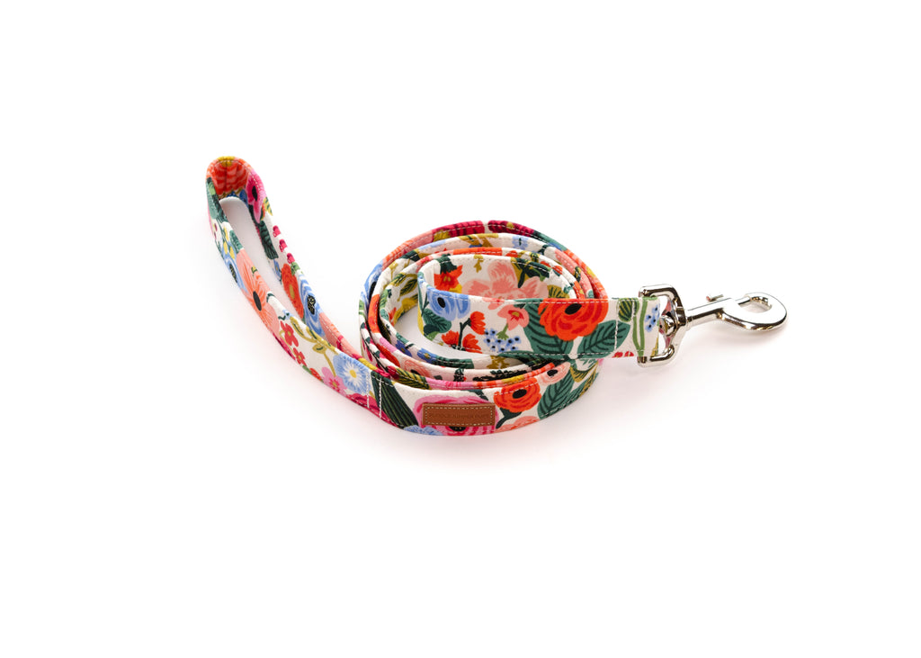 The Odelle Leash