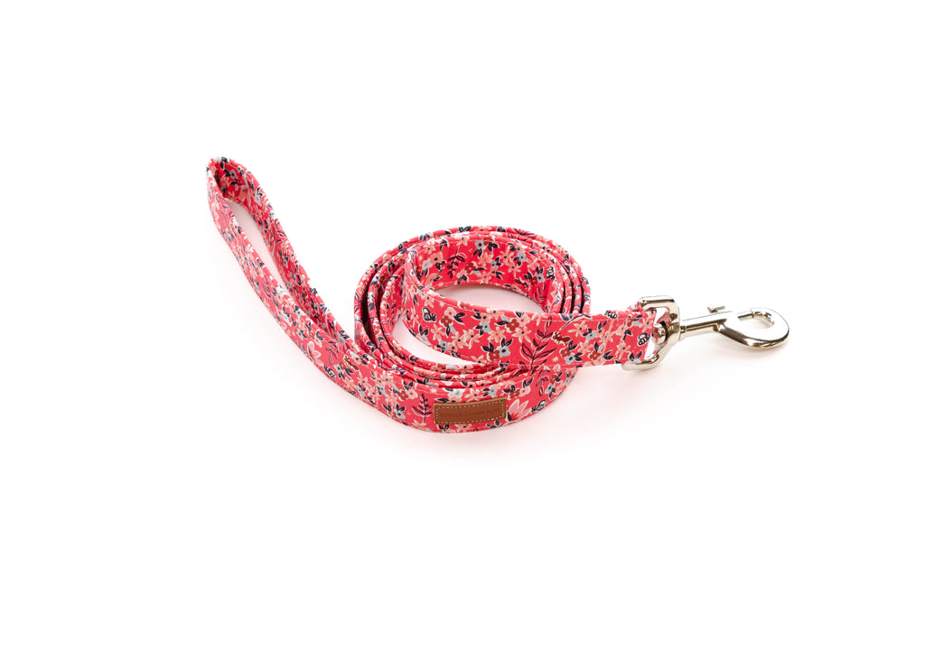 The Posey Leash