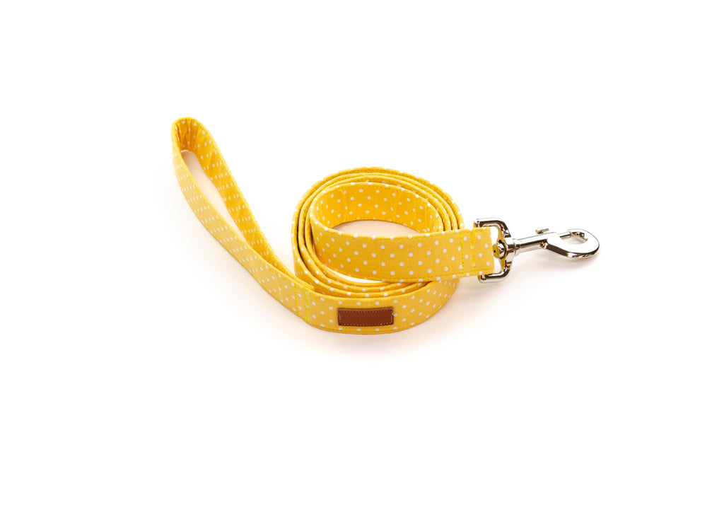 Yellow Polka Dot Leash