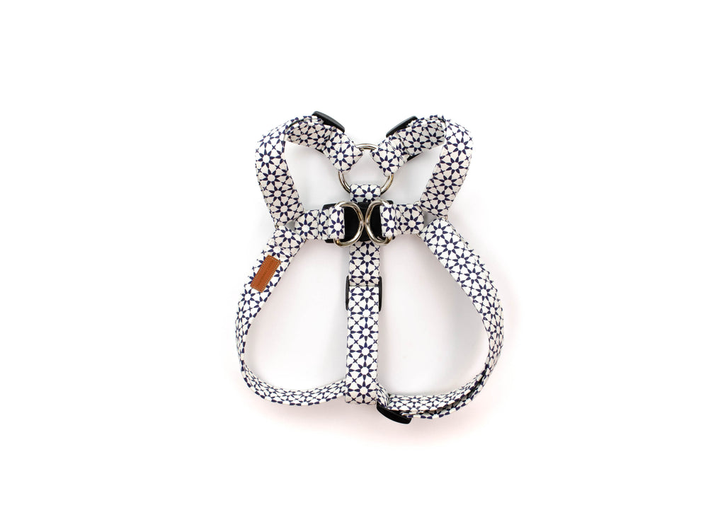 The Levi Harness