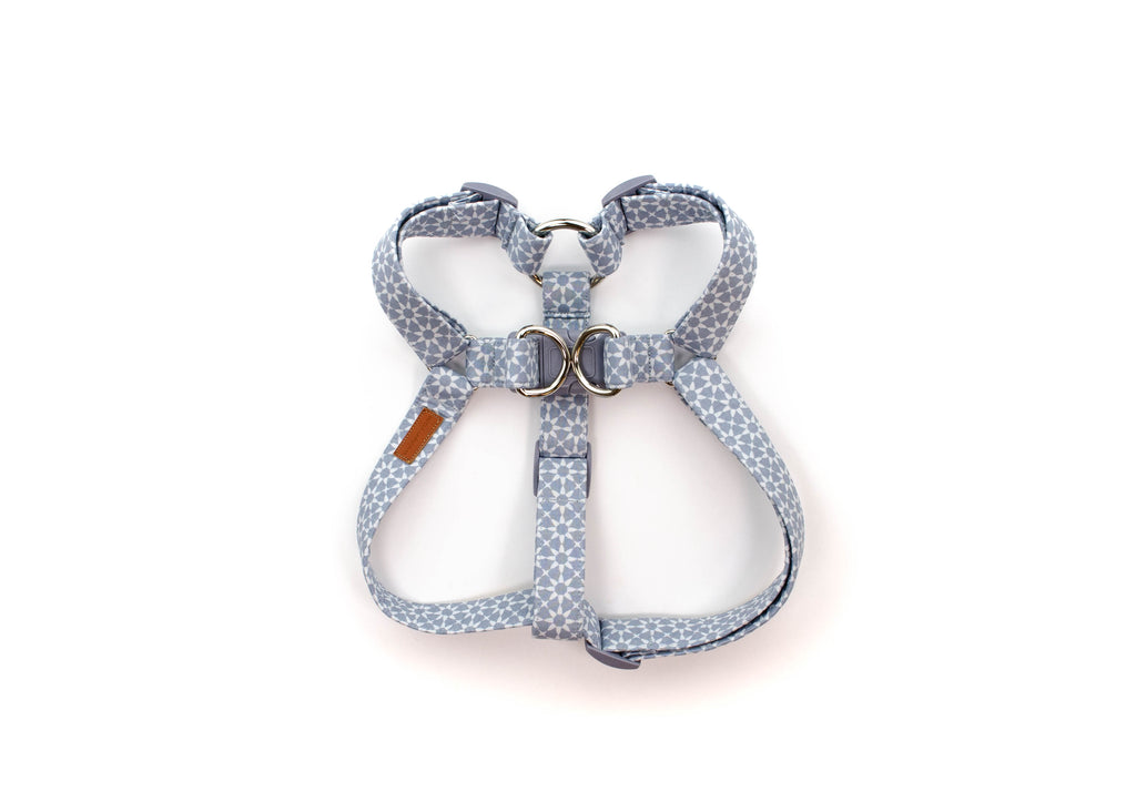 The Louie Harness