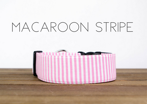 Macaroon Stripe