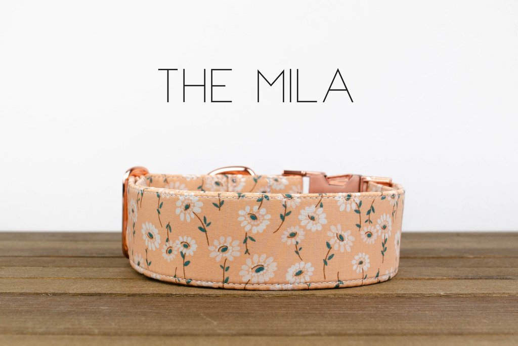 The Mila