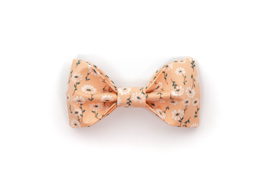 The Mila Bowtie