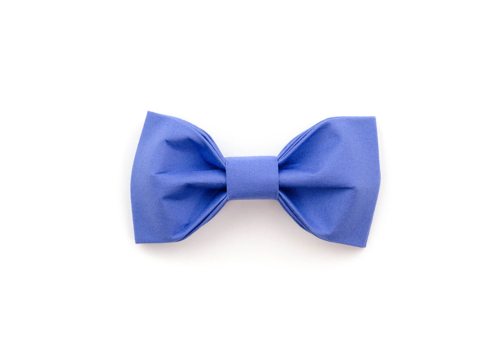 Cornflower Bowtie