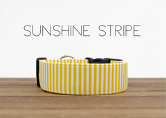 Sunshine Stripe