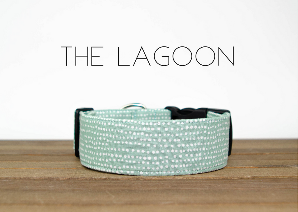 The Lagoon