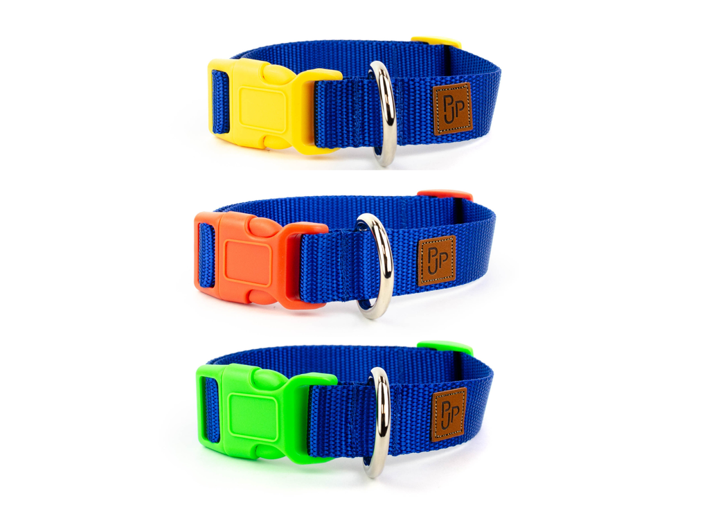 PJP Fetch Collar - Royal