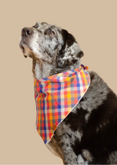 Koi Pond - Bandana