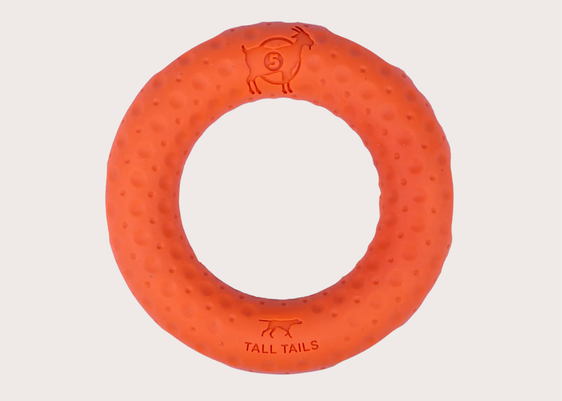 Goat Sport Ring - Dog Toy