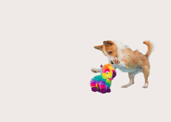 Full O' Fluff Pinata Toy