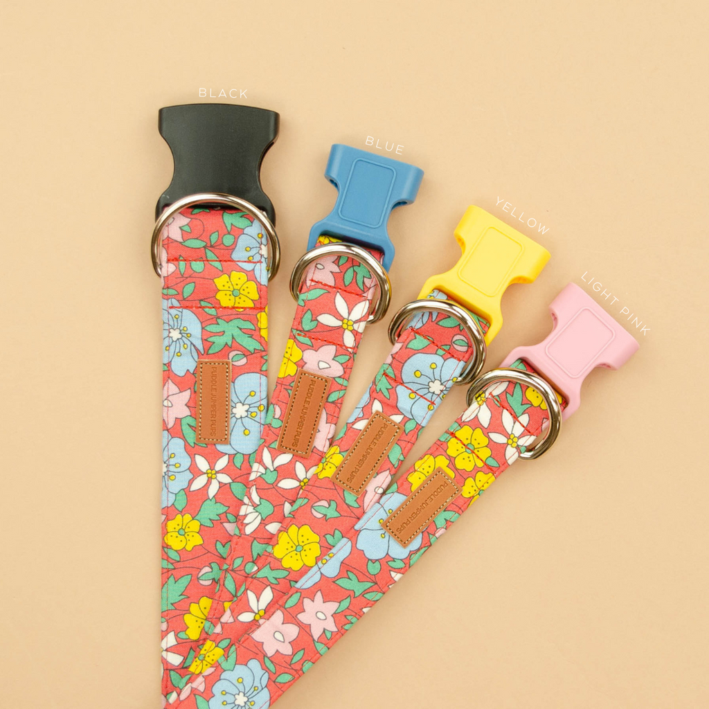 The Melody Leash