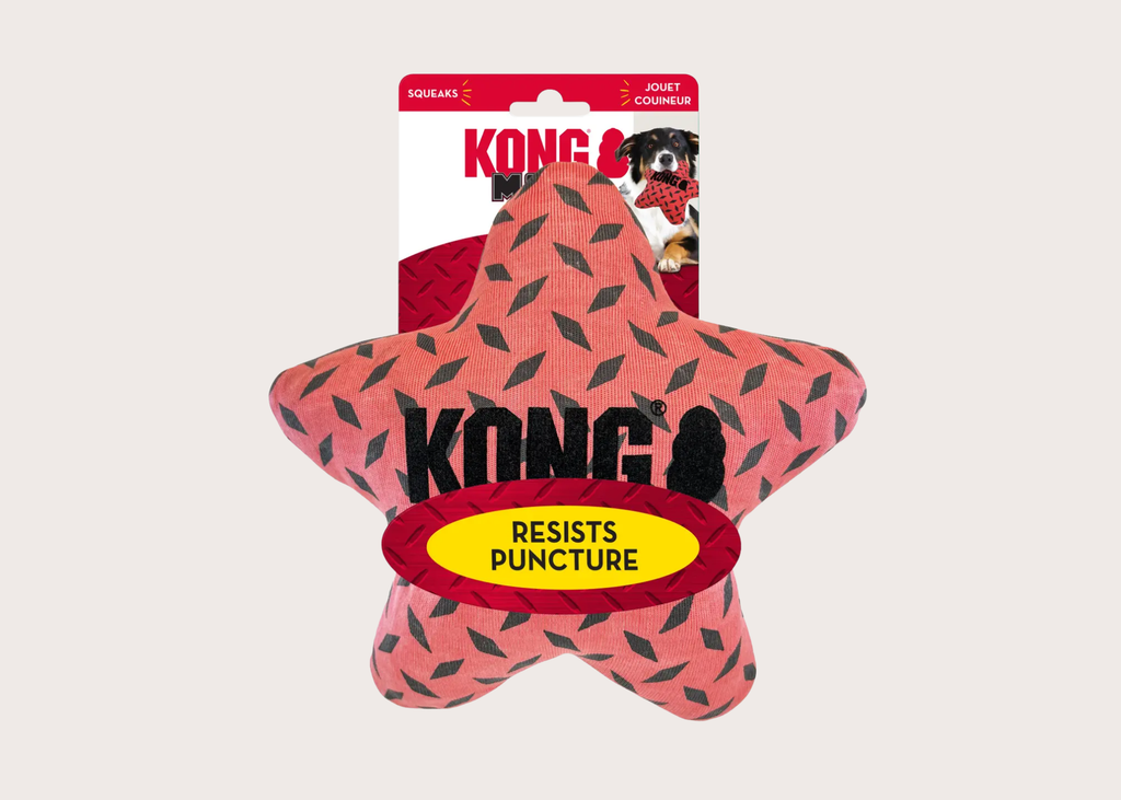 Kong Maxx Star Fetch Toy