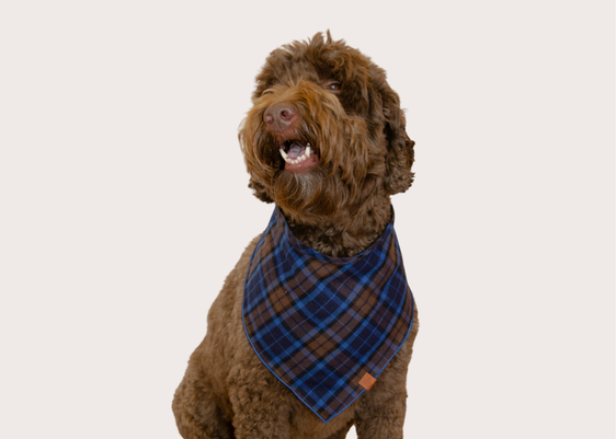 Durango Bandana