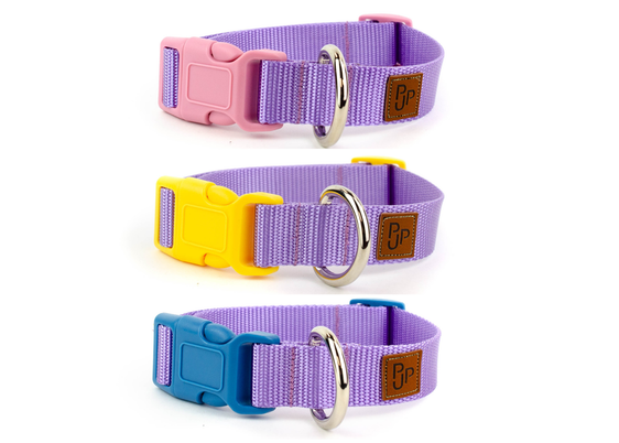 PJP Fetch Collar - Lilac
