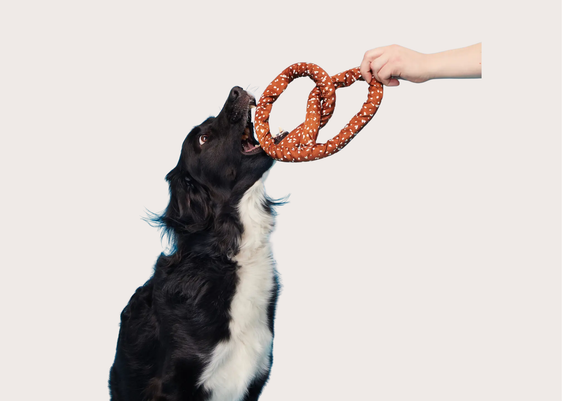 Pretzel Plush Dog Toy