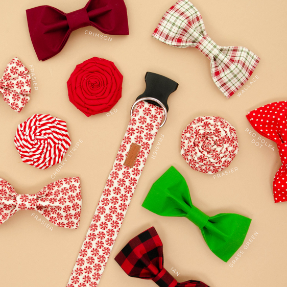 The Frasier Girly Bow