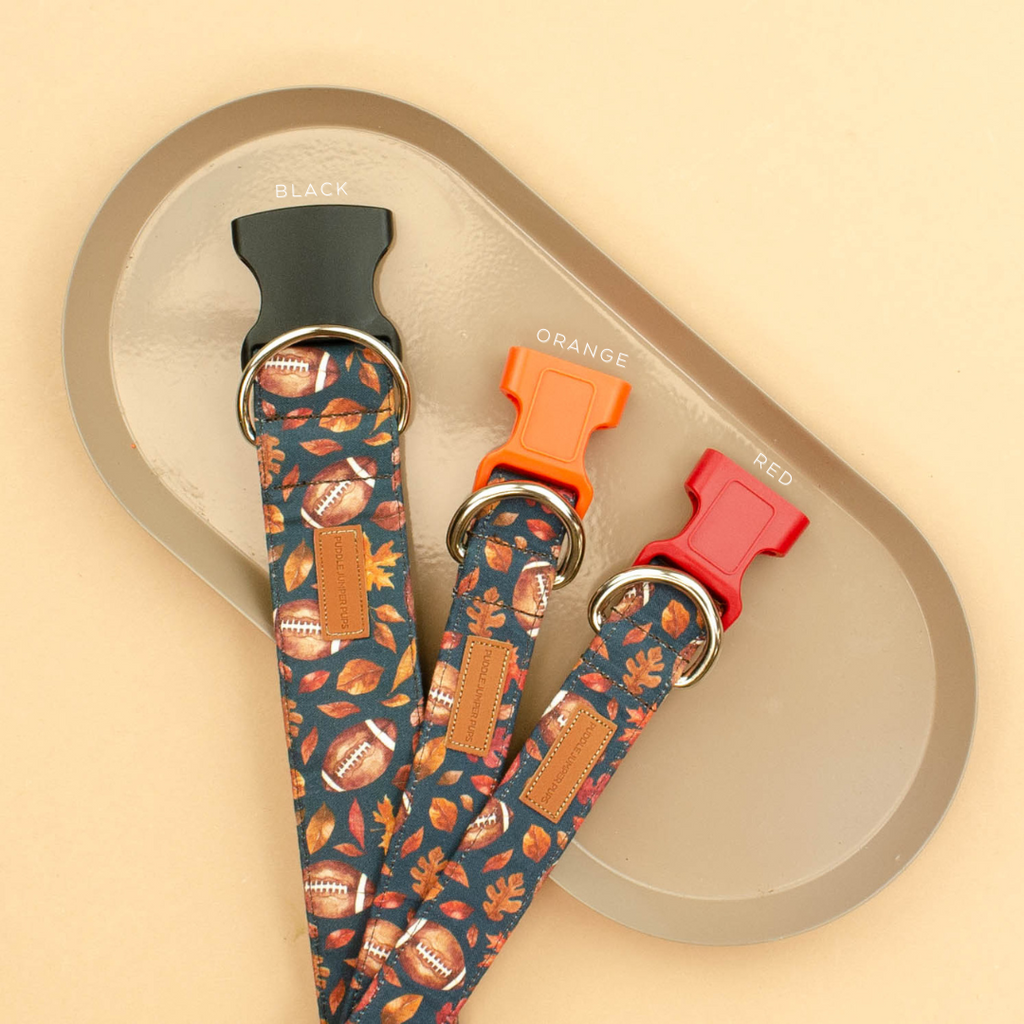 The Coach Key Fob