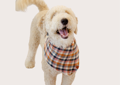 Sonoma Bandana