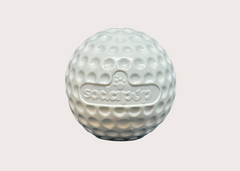 Golf Ball Treat Toy