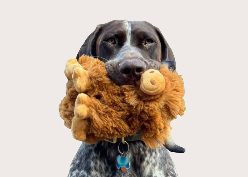 Highland Cow Squeaker Toy