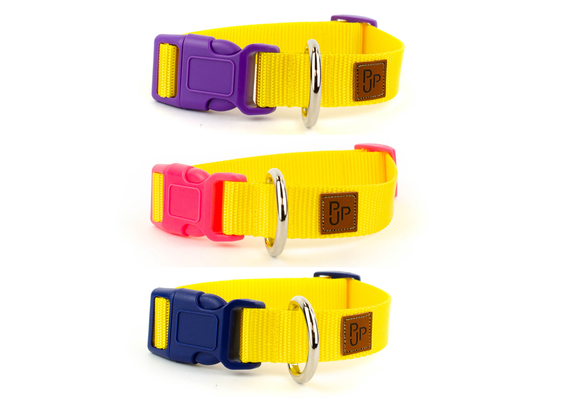PJP Fetch Collar - Sunny