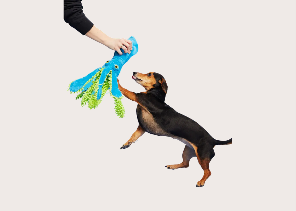 Sid The Squid Toy