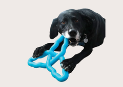 Kong Flyangle Fetch Dog Toy